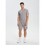 Sinsay - Tričko s potiskem Initial D Elyaf - šedá - 542EY-09X - 542EY-09X-XS