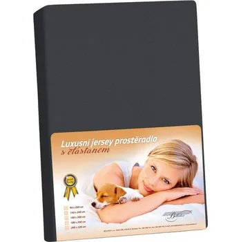 Prostěradlo Jersey LUX Grafitová BX1001373 - 160x200 cm