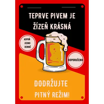 Plechová cedule Plechová retro cedule - Teprve pivem je žízeň krásná 30 x 20 cm