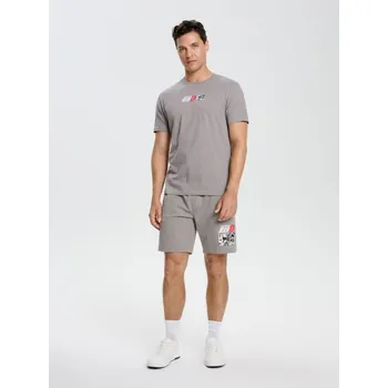 Sinsay - Tričko s potiskem Initial D Elyaf - šedá - 542EY-09X - 542EY-09X-M