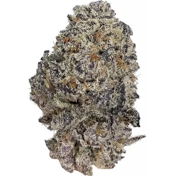 Semeno Growers Choice - Original Oreoz 3 ks