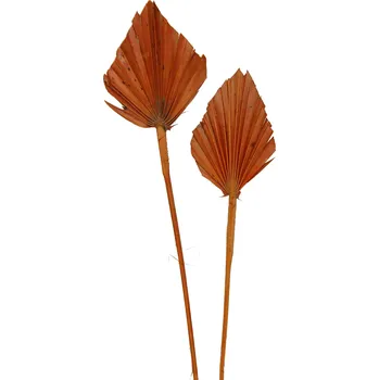 Palm spear mini color oranžová