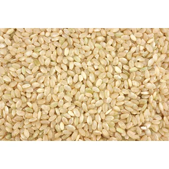 Rýže Rýže Kulatozrnná Natural BIO 3 kg Les Fruits du Paradis