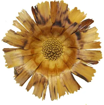 Sušené květiny Supercut loose, 9 cm, 30 ks, hnědé