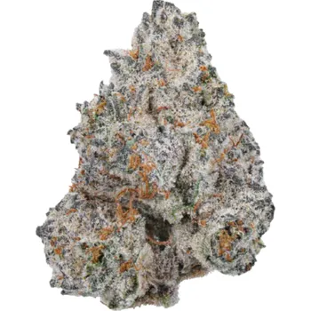 Semeno Growers Choice - White Truffle 3 ks