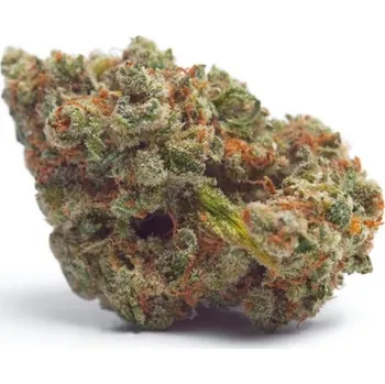 Semeno Growers Choice - Tropicana Wedding Cake Auto 3 ks