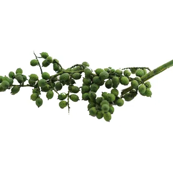 Canella special color zelená