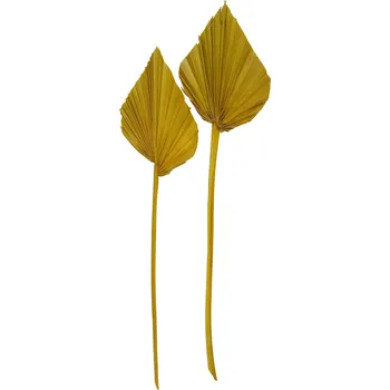 Sušený palmový list, Palm spear mini color žlutá, 30 ks