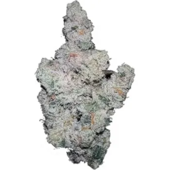 Semeno Growers Choice - Superboof 3 ks