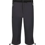 Pánské 3/4 kalhoty Regatta Xert Str CapriIII Velikost: XL / Barva: šedá