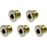 BGS 126-SM20 Zátka výpustě M20 x 1,5 mm, 5 ks (Sada BGS 126) (BGS100126-SM20)