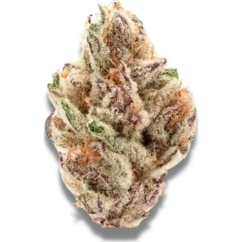 Semeno Growers Choice - Sour Zkittlez 3 ks