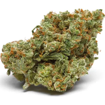 Semeno Growers Choice - The Real Amnesia Auto 3 ks