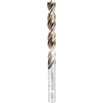 Vrták Strojní HSS spirálový vrták do dřeva pr. 1 mm Alpen TIMBER TWIST (Sada 2 dílů) (ALPEN0067100100100)