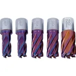 Jádrové vrtáky Bernardo HSS CO5 pr. 14 ÷ 22 mm, hloubka vrt. 30 mm Standard CDS potažené nACO. (Sada 5 dílů) (BER4111051)