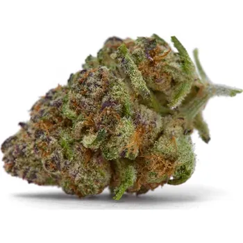 Semeno Growers Choice - Purple Sunset Auto 3 ks