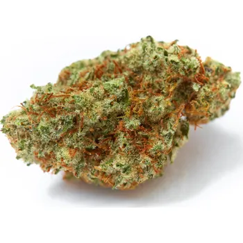 Semeno Growers Choice - White Fire OG 3 ks