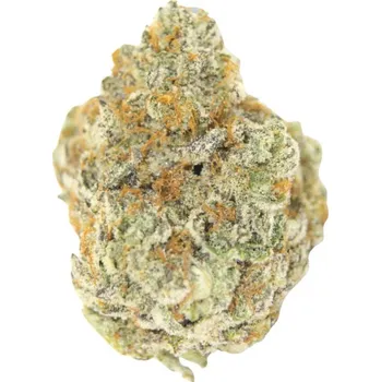 Semeno Growers Choice - Permanent Whitemarker Auto 5 ks