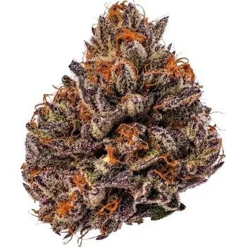 Semeno Growers Choice - Tropicana Cherry Triploid F1 3 ks