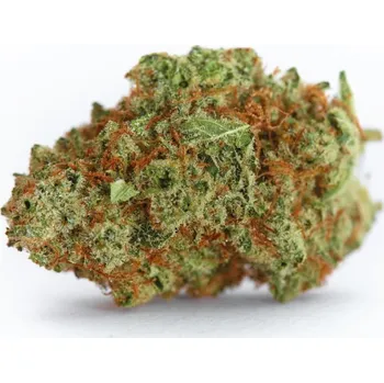 Semeno Growers Choice - Monsterbud Auto 3 ks