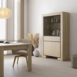 Prosklená vitrína Cuba II - dub elegant / černá