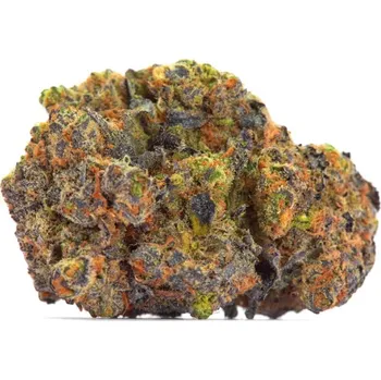 Semeno Growers Choice - San Fernando Valley x The Purps 5 ks