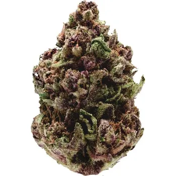 Semeno Growers Choice - Pink Magic Fast Version 3 ks