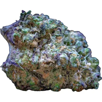 Semeno Growers Choice - Frozen Cherry Runtz 3 ks