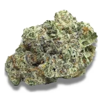 Semeno Growers Choice - MAC 1 Auto 5 ks