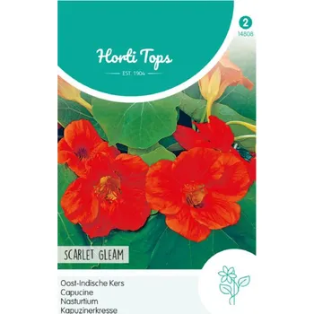 Semeno Semena - LICHOŘEŘIŠNICE VĚTŠÍ ´SCARLET GLEAM´