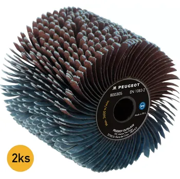 Brusný kotouč Lamelový brusný válec pr. 120 x 100 mm Peugeot 800305, 2 ks (zrnitost 40) (WOLFPE800305)