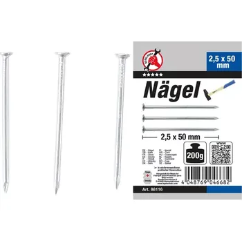 Hřebík hřebíky 200 g 2,5 x 50 mm (BGS1088116)