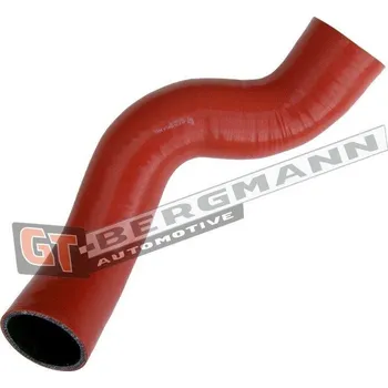 Turbodmychadlo Hadice plnícího vzduchu GT BERGMANN GT52-734