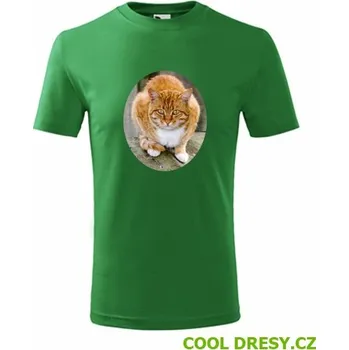 Chlapecké tričko Dětské tričko s kočkou 5 - Barva: střední zelená, Velikost 6let