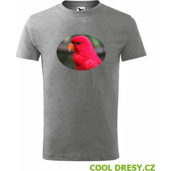 Dětské tričko s papouškem 4 - Barva: tmavě šedý melír, Velikost 10let