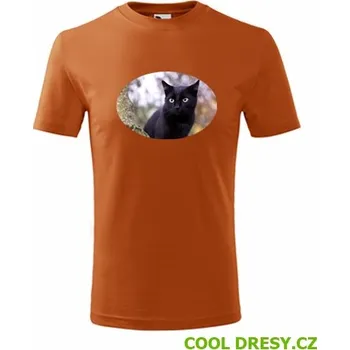 Chlapecké oblečení Dětské tričko s kočkou 6 - Barva: oranžová, Velikost 6let