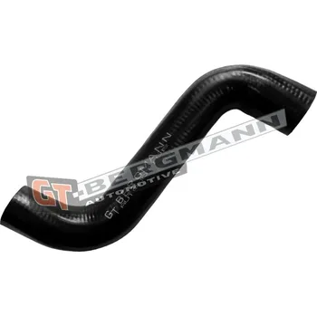 Turbodmychadlo Hadice plnícího vzduchu GT BERGMANN GT52-804