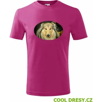 Chlapecké oblečení Dětské tričko s kolií - Barva: purpurová, Velikost 8let