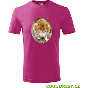 Chlapecké oblečení Dětské tričko s kočkou 5 - Barva: purpurová, Velikost 10let