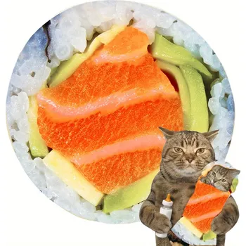 Dětská deka Teplá deka ve tvaru tortilly a jiných jídel | zimní přikrývka, kempingová deka - losos , Kulatý 59 palců (1,5 m))