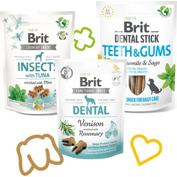 BRIT SNACK PACK - Dental Pack