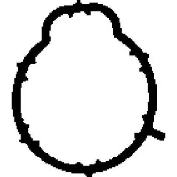 Těsnění motoru Těsnění, koleno sacího potrubí BGA MG8541