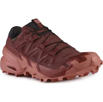 Dámská běžecká obuv Salomon Speedcross 6 GTX W L47584300 - rum raisin/barn red/canyon clay 36