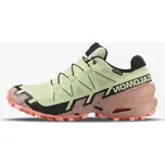 Dámské tenisky SALOMON SPEEDCROSS 6 GTX W Li EUR 40 2/3 1392522