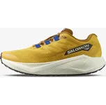 Pánské tenisky SALOMON AERO BLAZE 3 GRVL SPI EUR 45 1/3 1392802