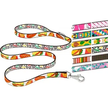 Vodítko pro psa Ferplast Fantasia G 15/120 vodítko