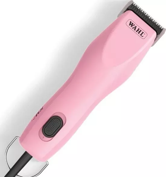 Wahl KM2+
