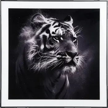 Obraz Foto obraz Art Tiger 50x50cm tygr černý Present Time (Barva- černá/ lev)