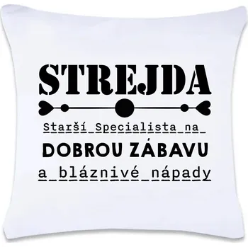 Dekorativní polštářek DOBRÝ TRIKO Polštář s potiskem 40 x 40 cm Strejda specialista Oboustranný tisk: NE