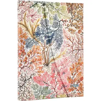 Diář Paperblanks Diář 2026 Anemone - Midi, vertikální členění - Paperblanks